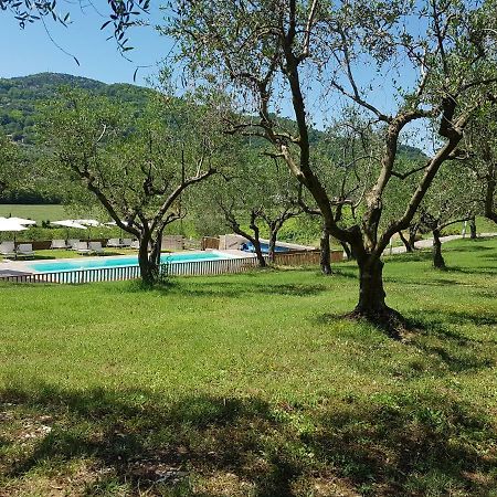 Il Vecchio Gelso - Agriturismo Rimini Montefiore Conca Villa Exterior photo