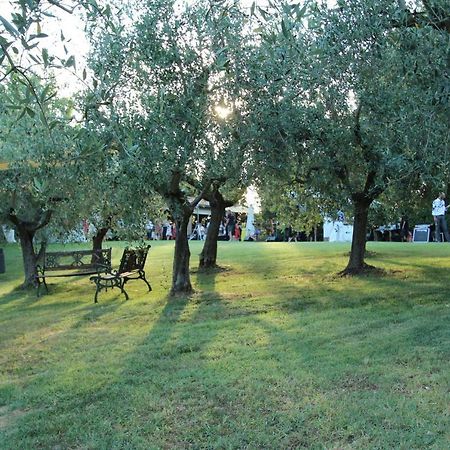Il Vecchio Gelso - Agriturismo Rimini Montefiore Conca Villa Exterior photo
