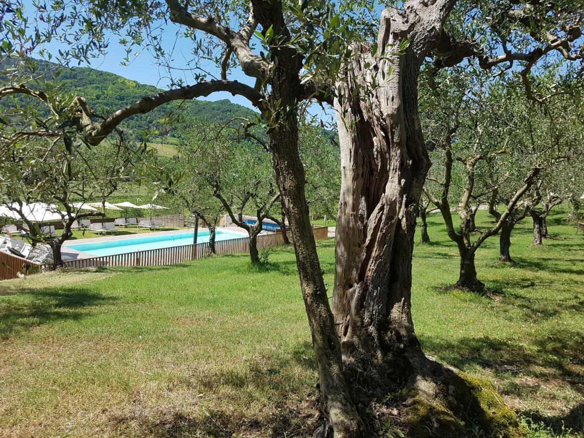 Il Vecchio Gelso - Agriturismo Rimini Montefiore Conca Villa Exterior photo