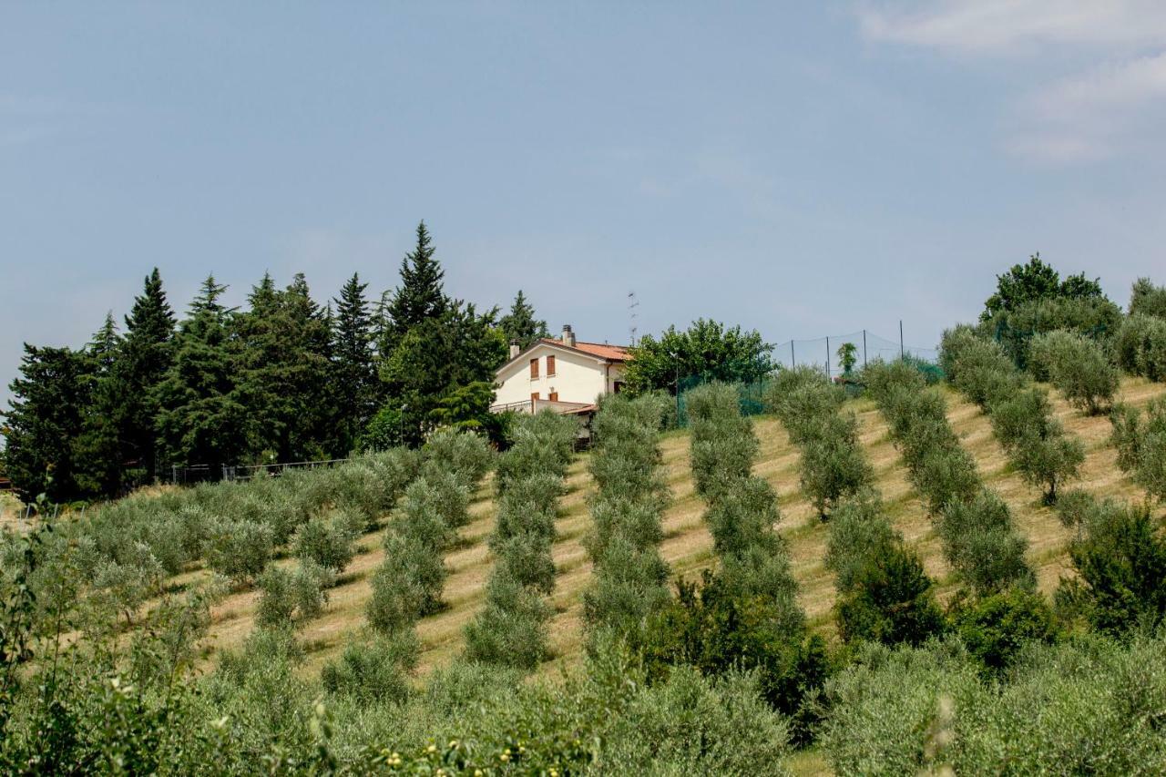 Il Vecchio Gelso - Agriturismo Rimini Montefiore Conca Villa Exterior photo