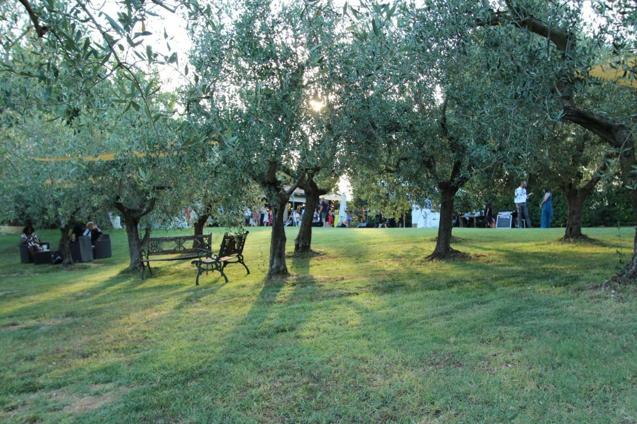 Il Vecchio Gelso - Agriturismo Rimini Montefiore Conca Villa Exterior photo